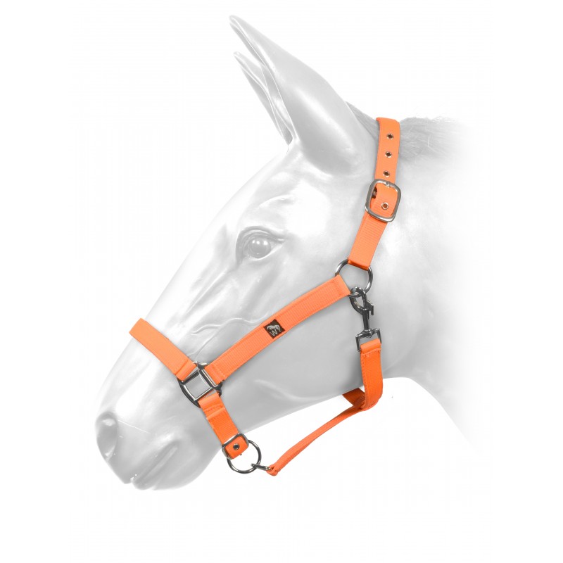 HCW01 Harvey Headcollar in Orange 